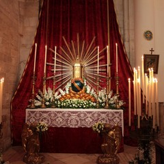 Settimana Santa a Trani