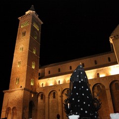Settimana Santa a Trani