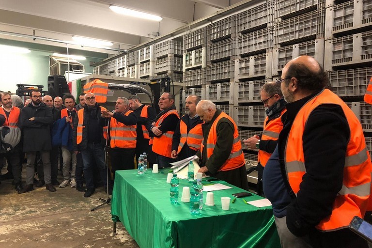 Gilet Arancioni a Ruvo